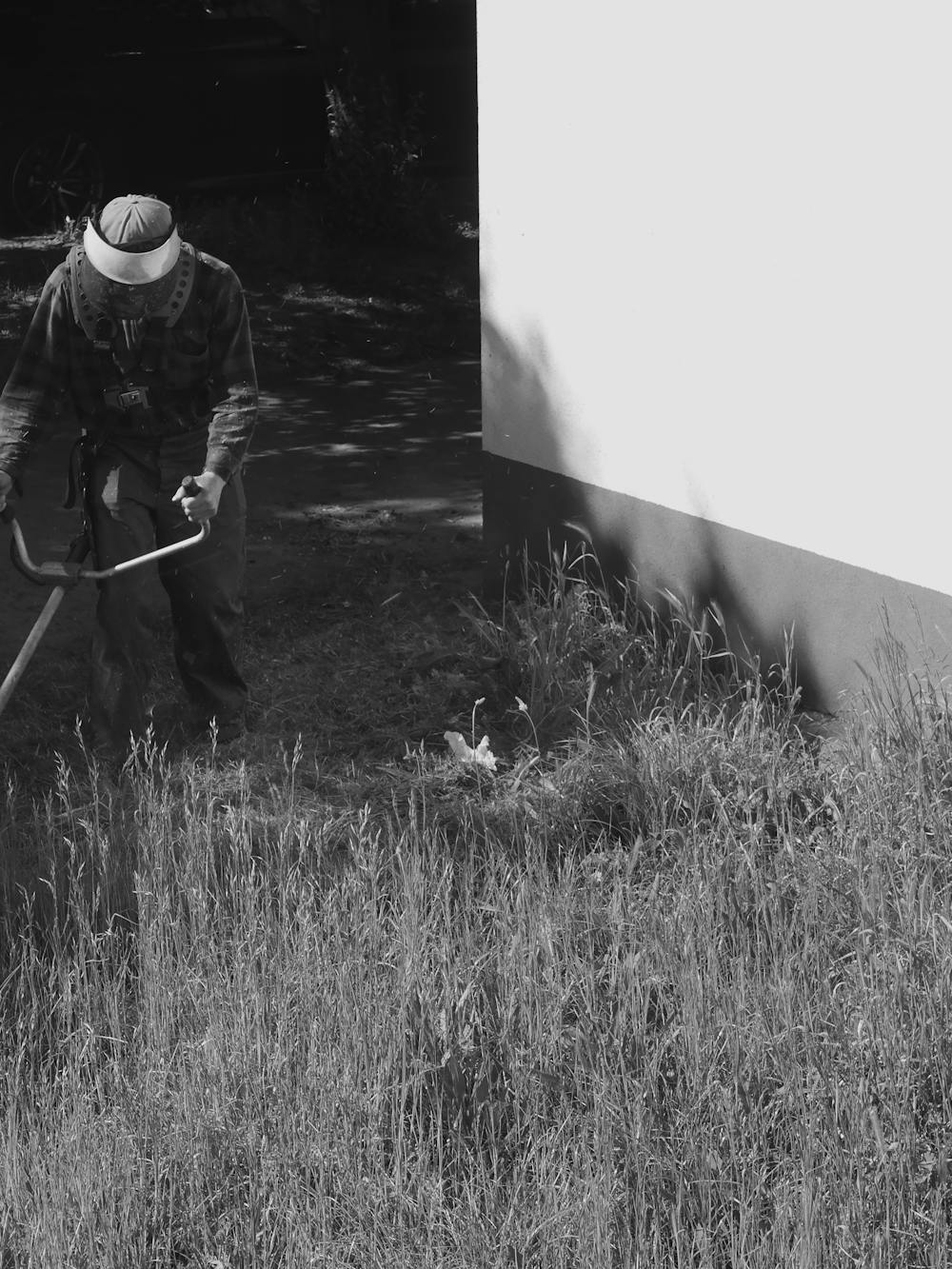 Lawn Maintenance