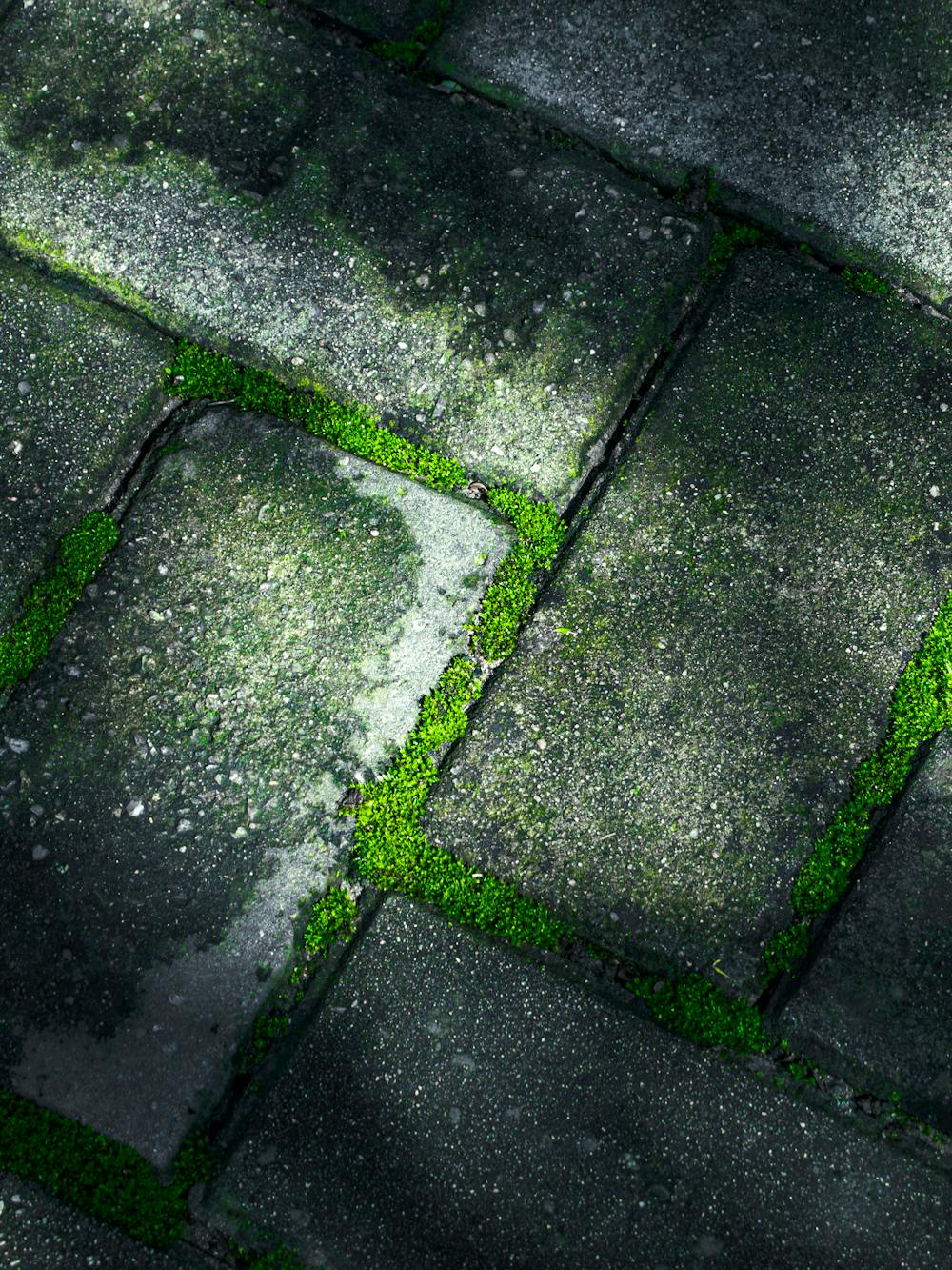 blog